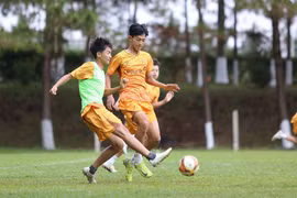 U14 LPBank Hoang Anh Gia Lai Confidently Sets Sights on International Football Festival
