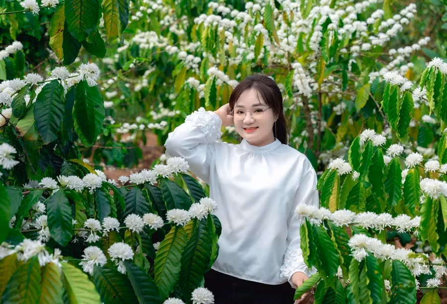 vong-thi-huyen-dai-su-du-lich-tinh-gia-lai-trong-nam-du-lich-quoc-gia-2026.jpg