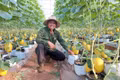 Integrating Technology into Key Agricultural Products