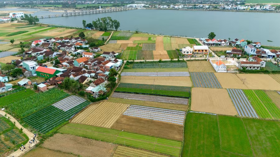 glo-lang-rau-thuan-nghia-1.jpg