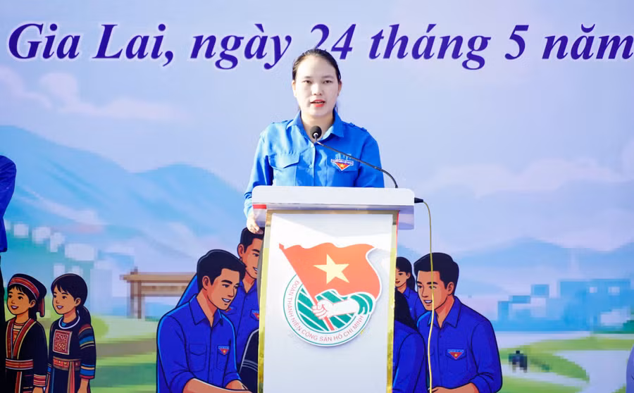 tinh-doan-gia-lai-phat-dong-chien-dich-thanh-nien-tinh-nguyen-he-2026-7.jpg