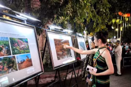 Gia Lai photographer wins consolation prize at Đắk Lắk’s fourth Chư Yang Sin arts awards