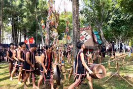 Gia Lai weekend Gong performances honor family traditions and Jrai cultural heritage